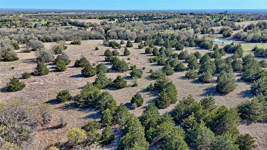 44.91 Acres, Block 105, Hill CSL Survey - Land