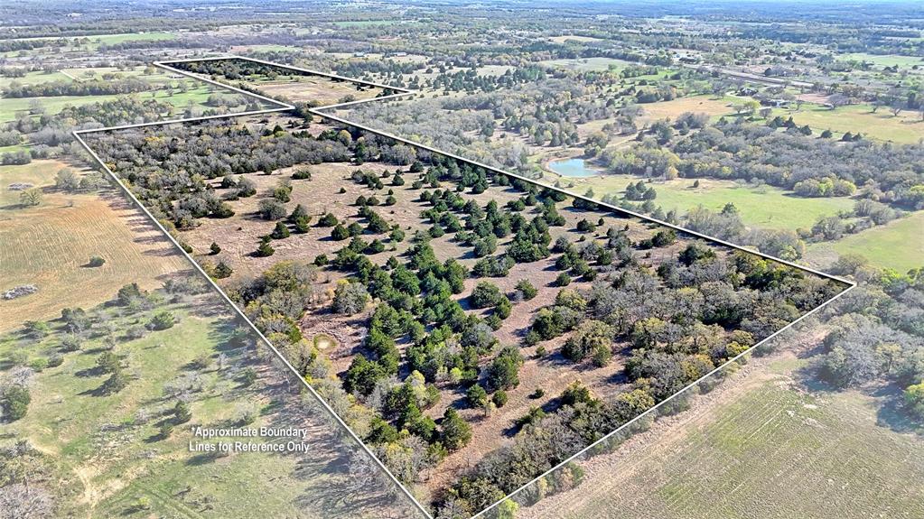 44.91 Acres, Block 105, Hill CSL Survey - Land