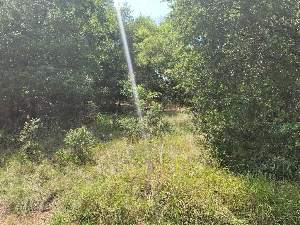 White Bluff #16 - Land