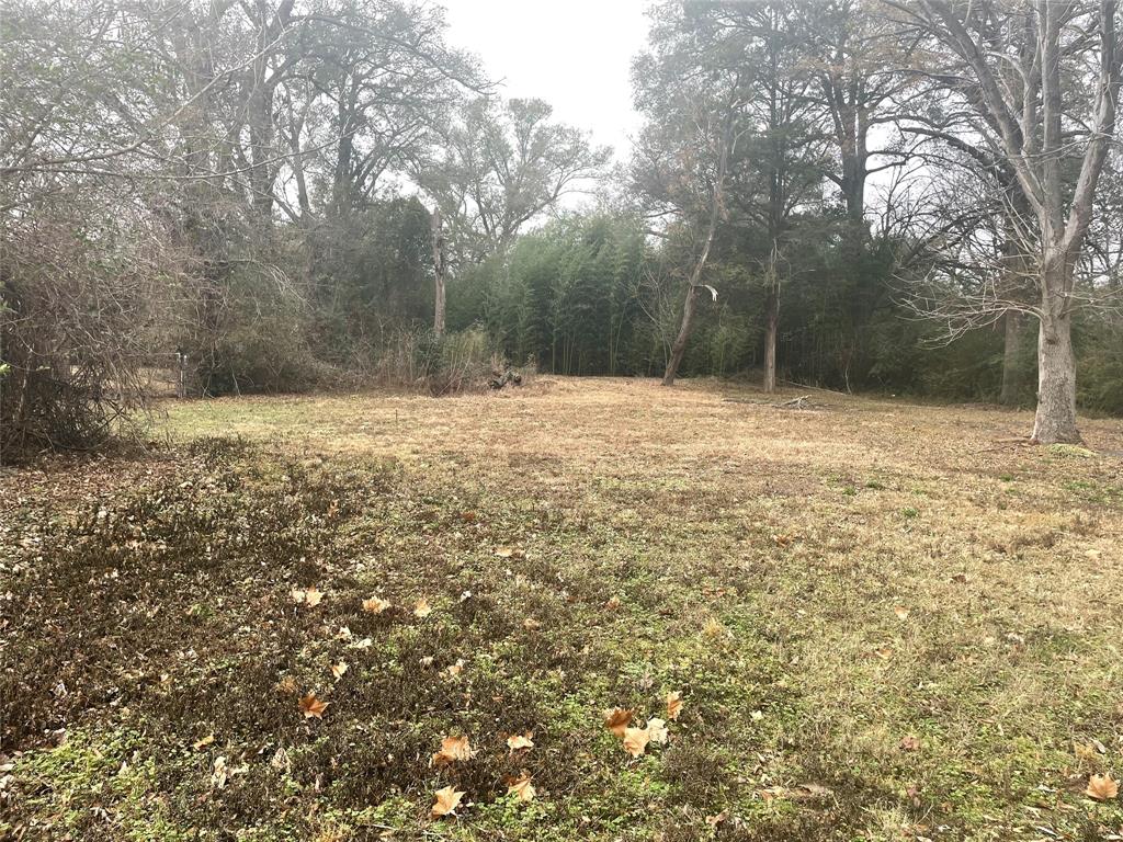 Nice, large city lot (87x254)! Winnsboro offers a quaint small town feel with boutique shops, art culture, farmer's market during warmer months, and several popular restaurants that bring in people from miles away. Explore and enjoy the area lakes and state park, situated near Lake Cypress Springs for excellent boating. Or near Bob Sandlin Lake, Bob Sandlin State Park and Lake Fork for fishing, walking trails, and lodging. Or visit the local waterway of Lake Winnsboro for fishing. This lot is a great spot to build and be part of this community!
