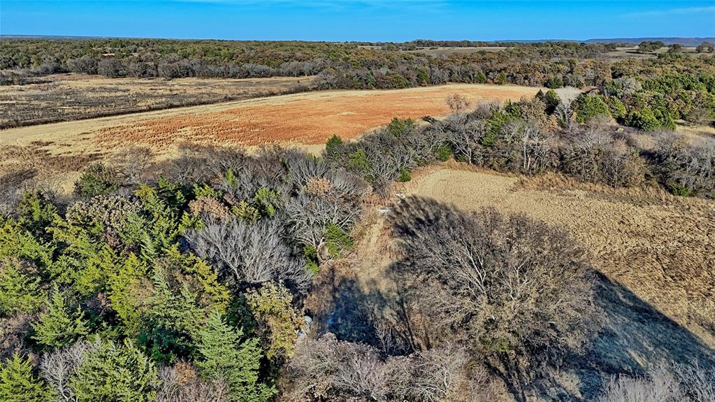 100.68 Acres, R. Rogers Survey, A-859 - Land