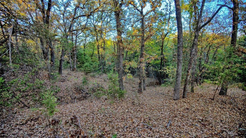 100.68 Acres, R. Rogers Survey, A-859 - Land