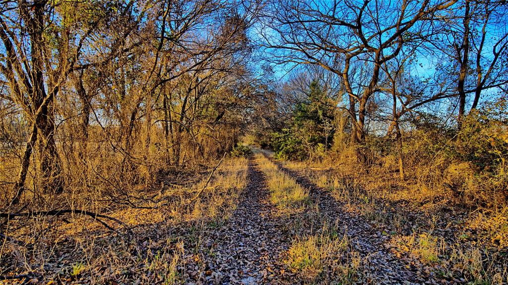 100.68 Acres, R. Rogers Survey, A-859 - Land