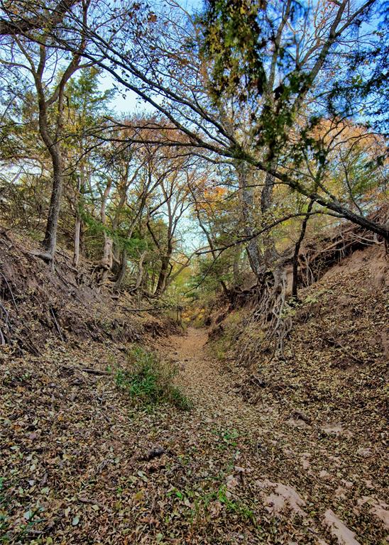 100.68 Acres, R. Rogers Survey, A-859 - Land