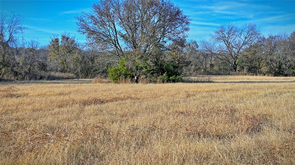 100.68 Acres, R. Rogers Survey, A-859 - Land