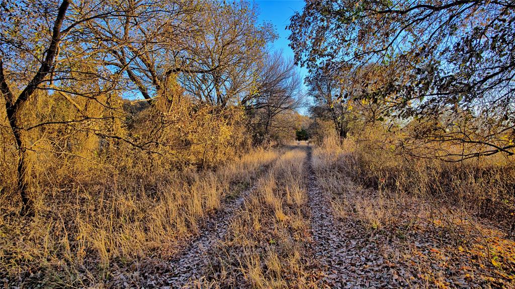 100.68 Acres, R. Rogers Survey, A-859 - Land
