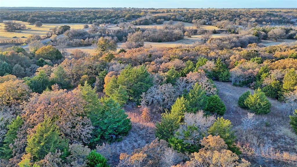 100.68 Acres, R. Rogers Survey, A-859 - Land