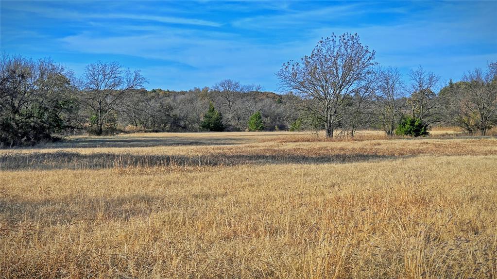 100.68 Acres, R. Rogers Survey, A-859 - Land