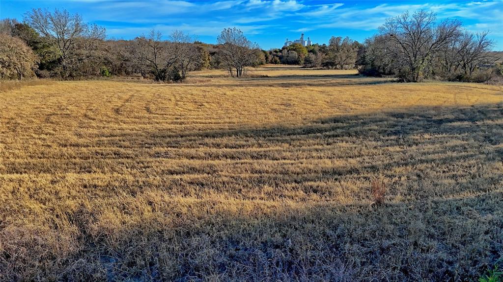 100.68 Acres, R. Rogers Survey, A-859 - Land