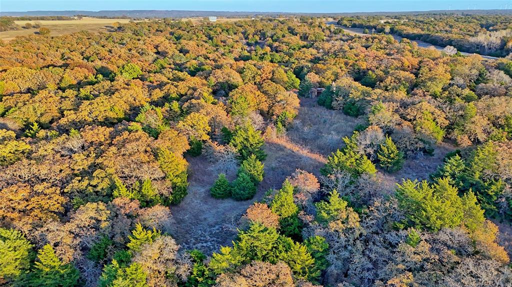 100.68 Acres, R. Rogers Survey, A-859 - Land