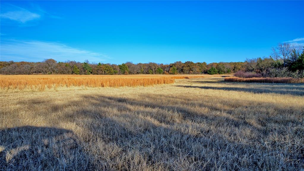 100.68 Acres, R. Rogers Survey, A-859 - Land