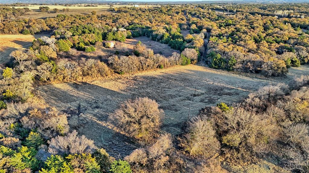 100.68 Acres, R. Rogers Survey, A-859 - Land