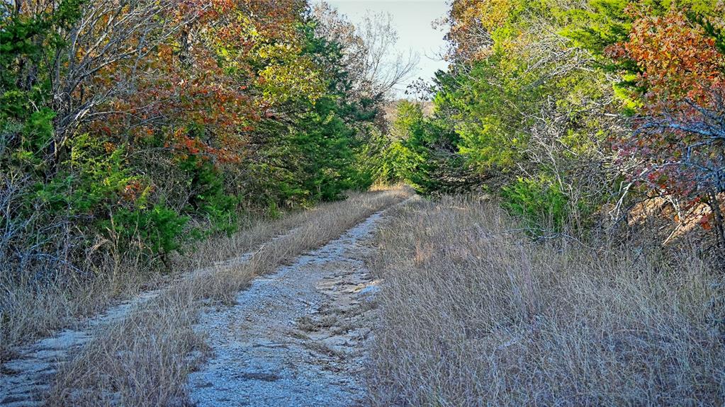 100.68 Acres, R. Rogers Survey, A-859 - Land