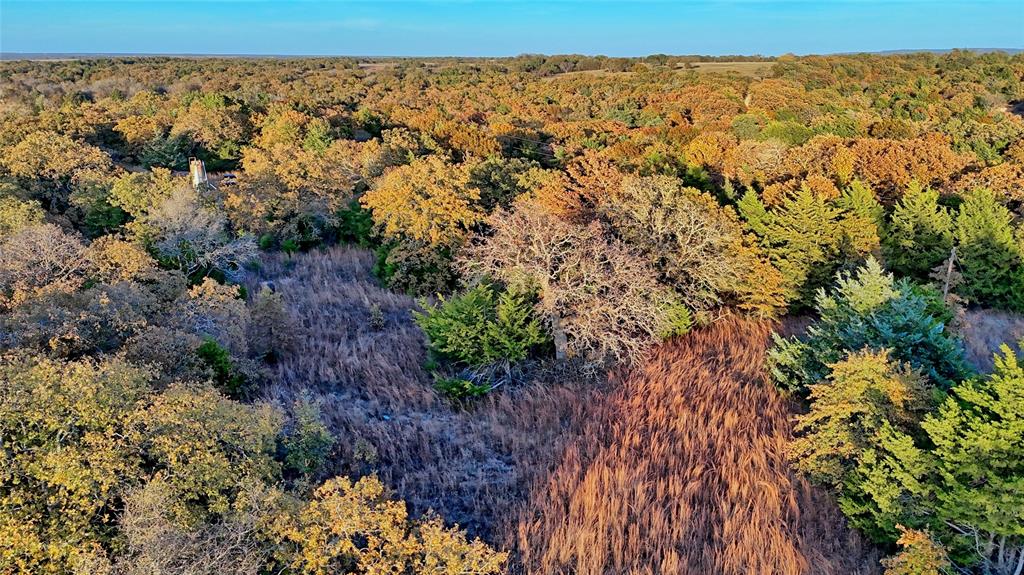 100.68 Acres, R. Rogers Survey, A-859 - Land
