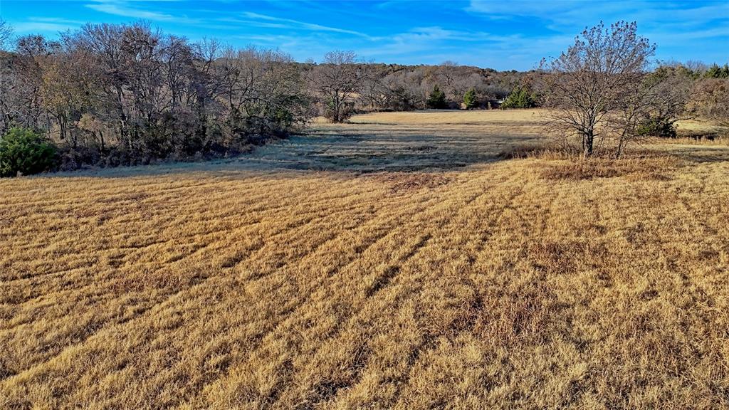 100.68 Acres, R. Rogers Survey, A-859 - Land