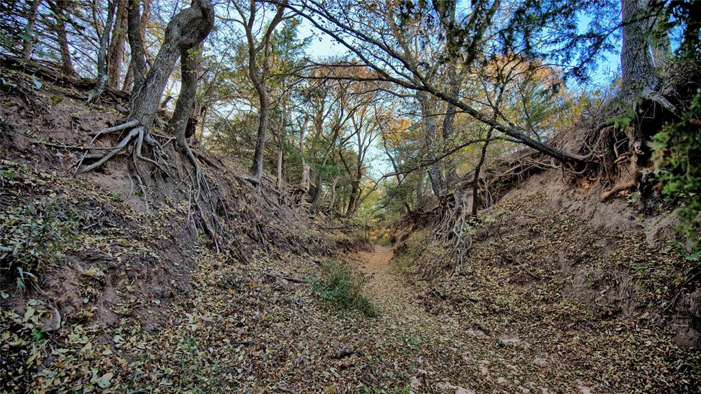 100.68 Acres, R. Rogers Survey, A-859 - Land