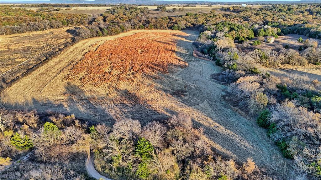 100.68 Acres, R. Rogers Survey, A-859 - Land