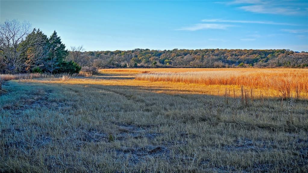 100.68 Acres, R. Rogers Survey, A-859 - Land