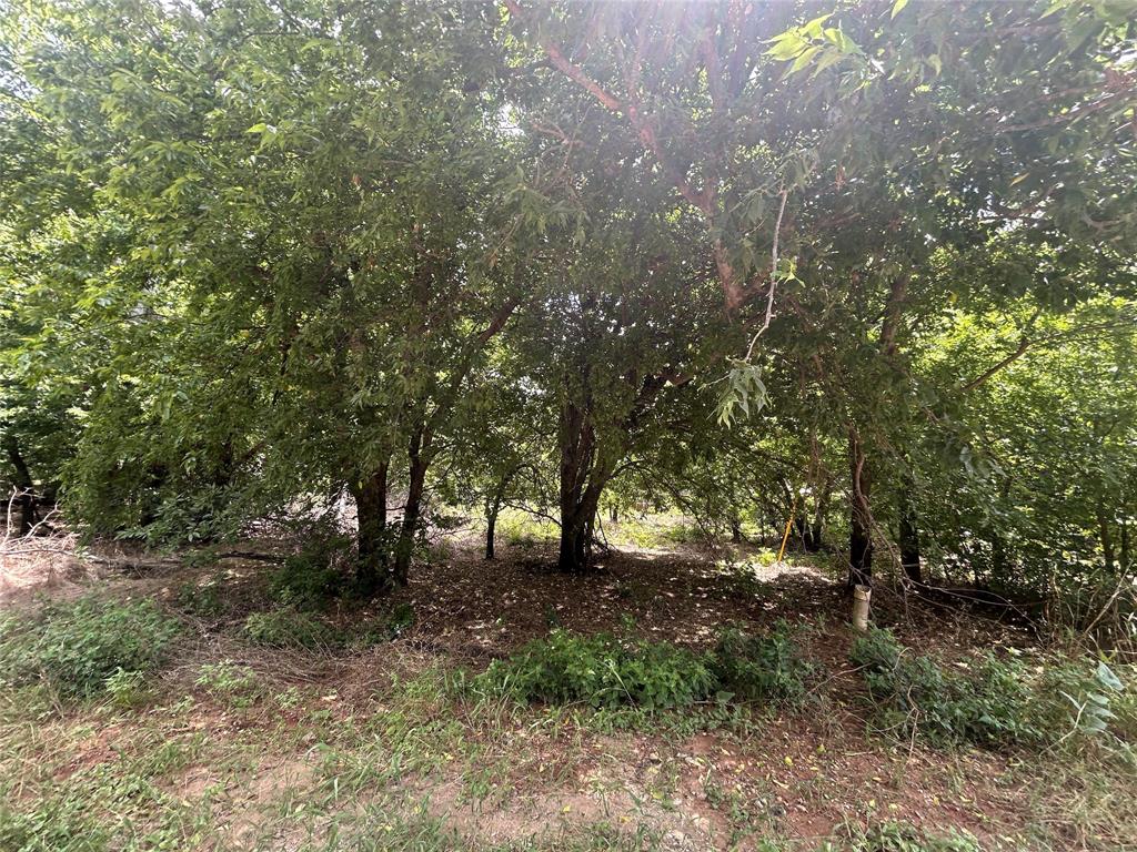 Canyon Creek IV - Land