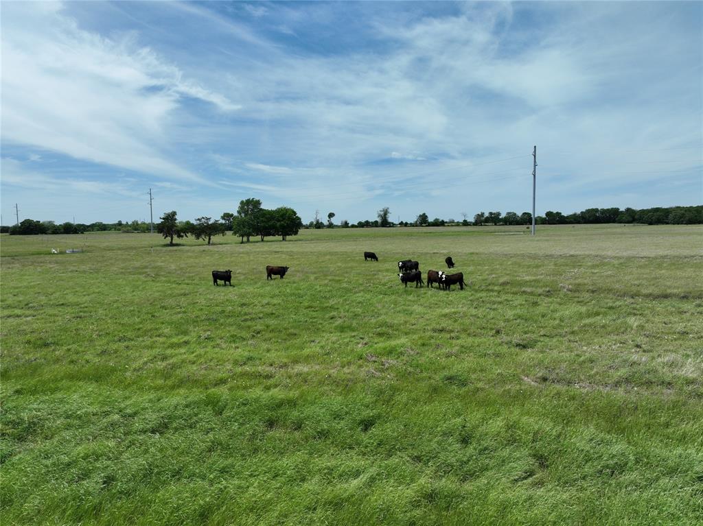 A1232 Juan Maria Zepada Survey - Land