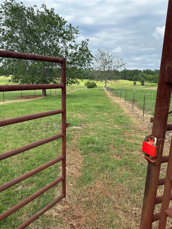 NONE - Farm