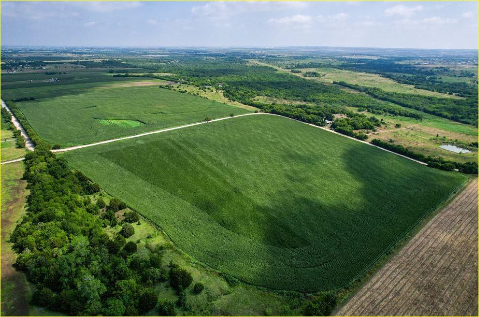 S. Odom and J. Smith - Farm