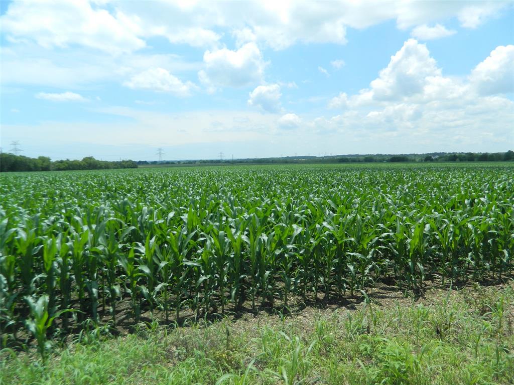 S. Odom and J. Smith - Farm