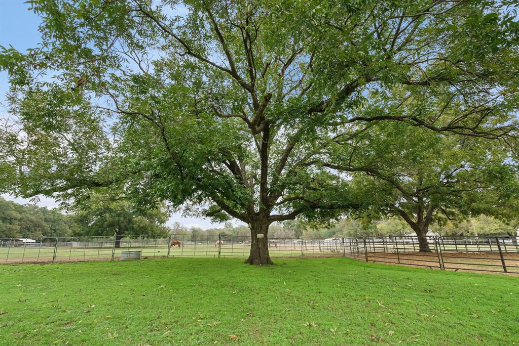 Shelby County School Land Surv - Residential