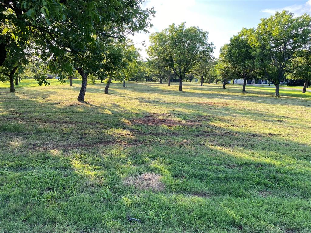 The Orchards On The Brazos - Land