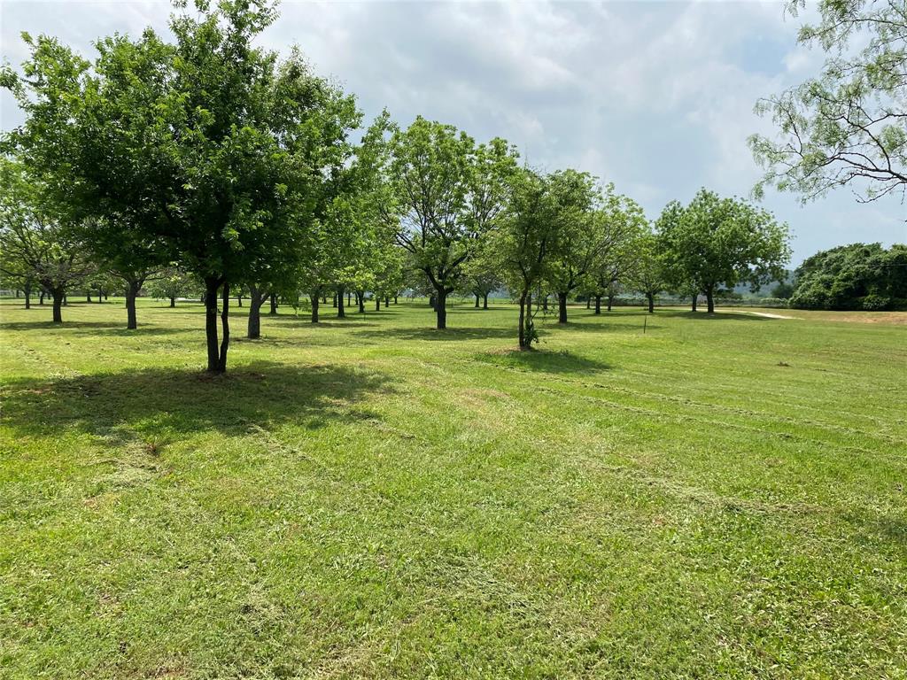 The Orchards On The Brazos - Land