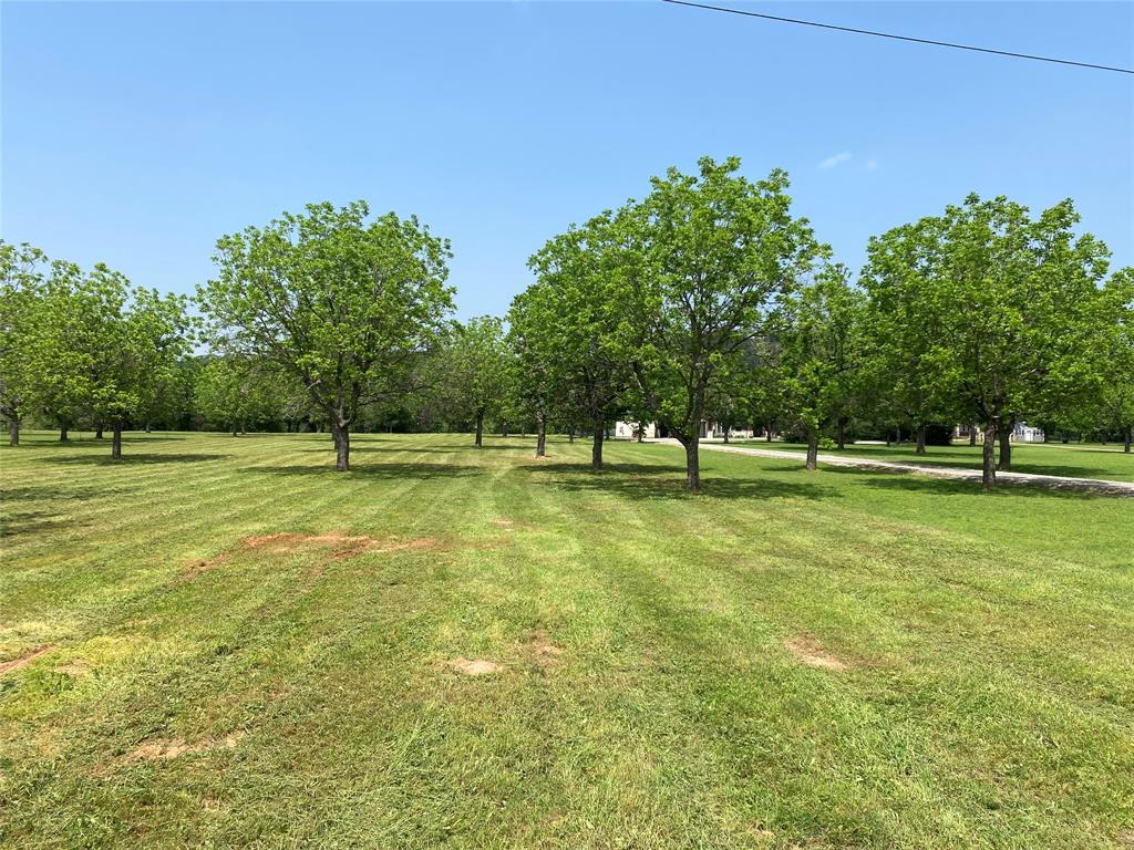 The Orchards On The Brazos - Land