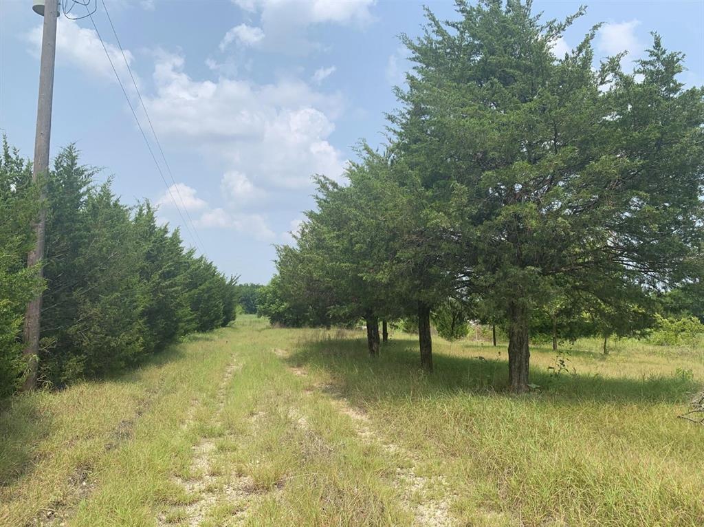 A0185 CHAPMAN JAMES,TRACT 16, ACRES 5.91 - Land