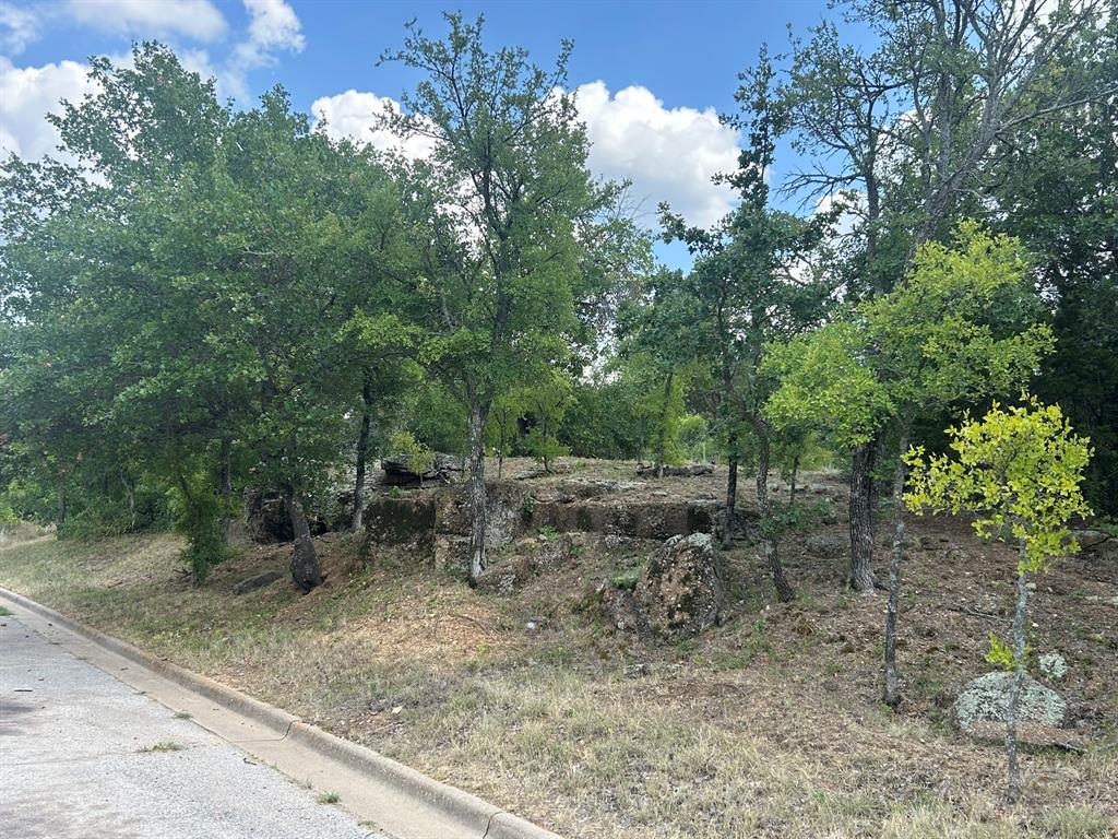 Country living opportunity in the middle of the city! Newly platted 1.82 acre Tanglewood estate bluff lot in established centrally located Tanglewood Estates in Graham TX neighborhood. Dual access with private drive off Normandy Dr or cul-de-sac  entrance on Willow Wood Ct with city utilities.