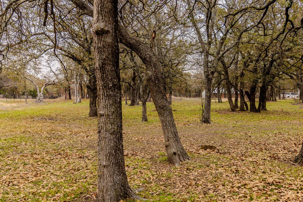 Forest Survey A-177 - Residential