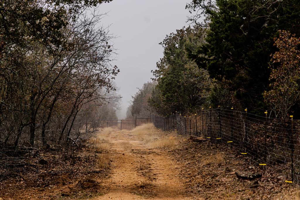 Forest Survey A-177 - Residential