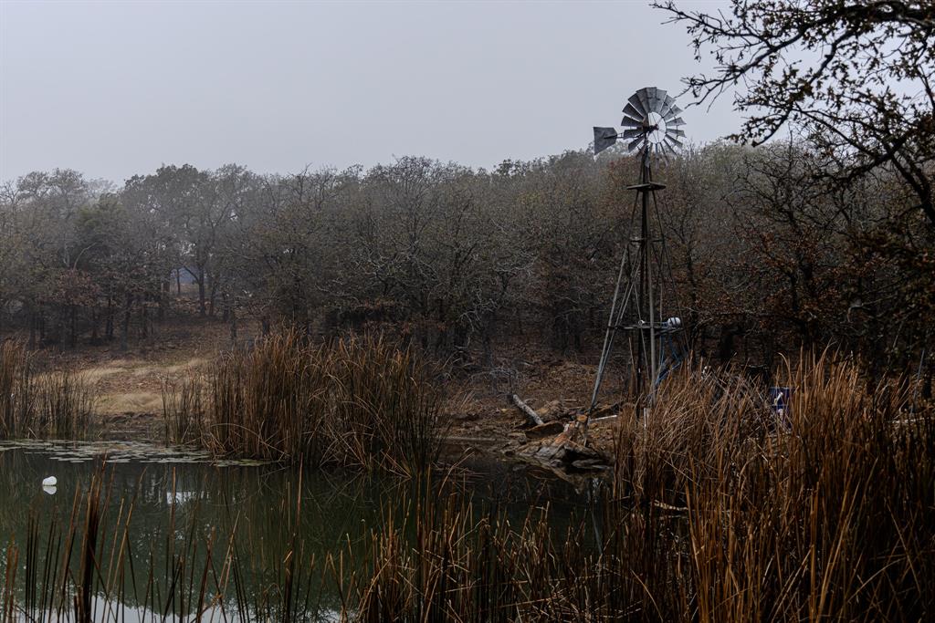 Forest Survey A-177 - Residential