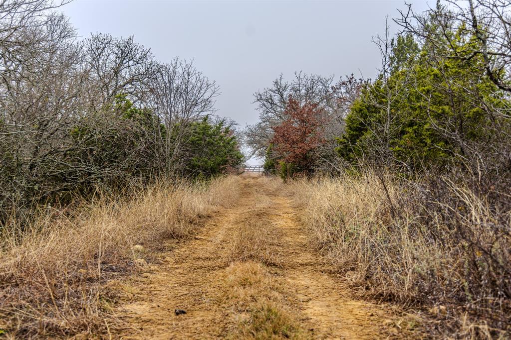 Forest Survey A-177 - Residential