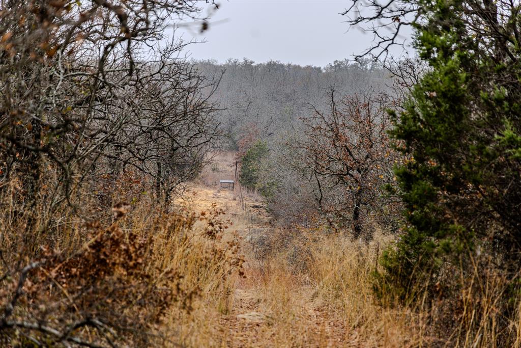 Forest Survey A-177 - Residential