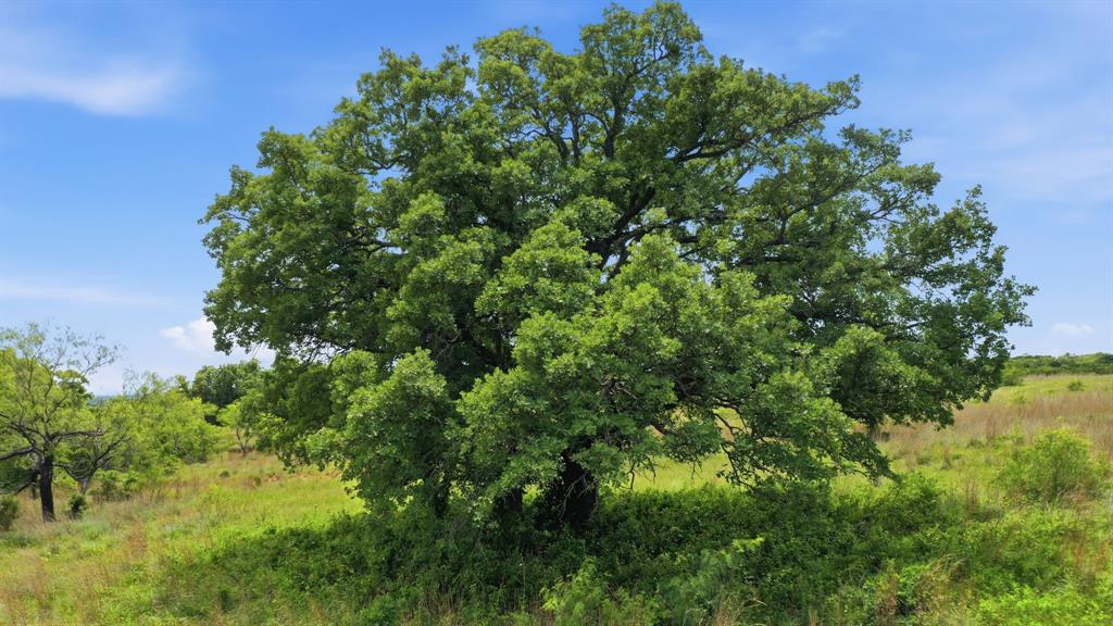Stallion Meadows Estates - Land