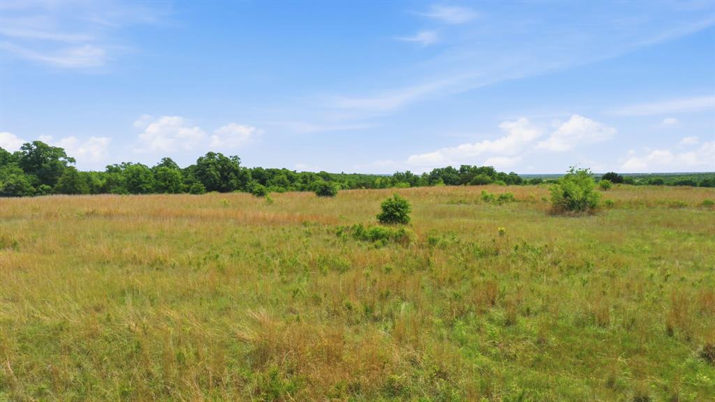 Stallion Meadows Estates - Land