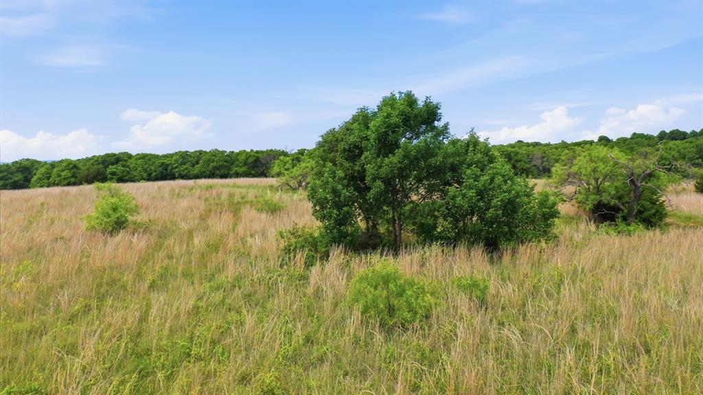 Stallion Meadows Estates - Land