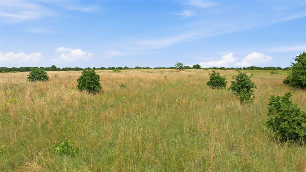 Stallion Meadows Estates - Land