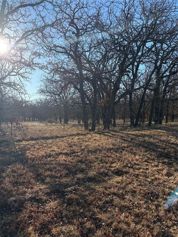 This is your opportunity to own a place of your own. Check out this beautiful property located just north of Hico.  There is plenty of deer and other wildlife.  Property is located the in exemplary HICO Independent School District.  Take the time to look at this property and make plans for your new home.  Follow pasture road as marked on map in documents.  ATV or four wheel drive recommended. Enjoy the beautiful view from the top of the hill.