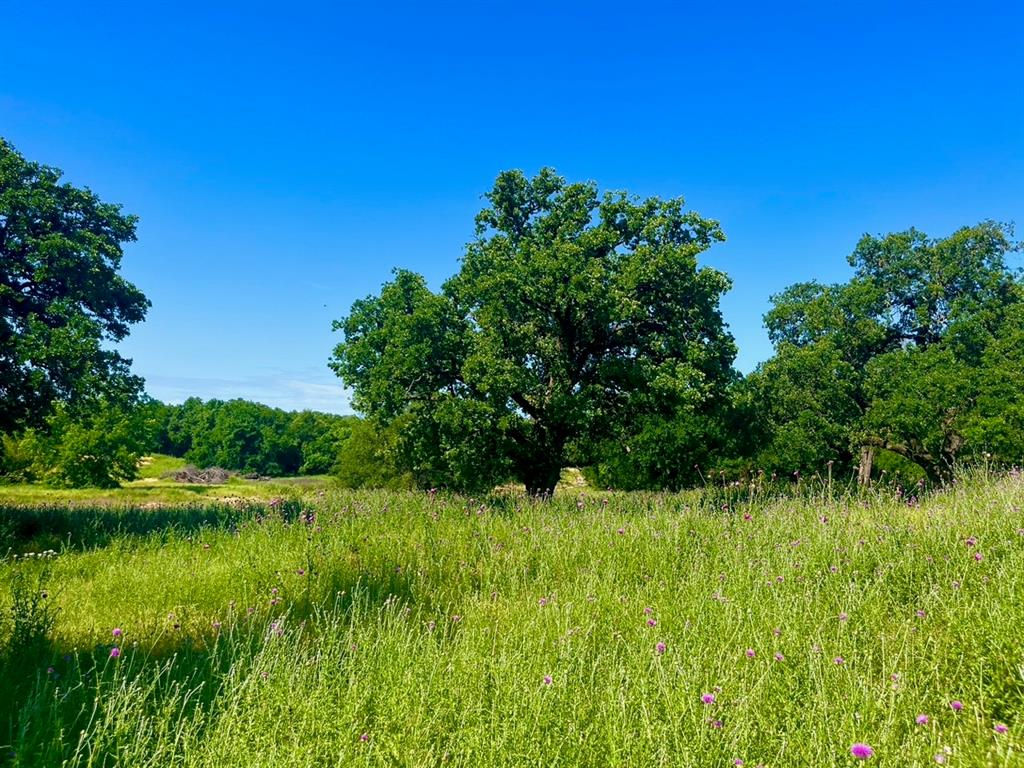 Sarra Ranch Estates - Land