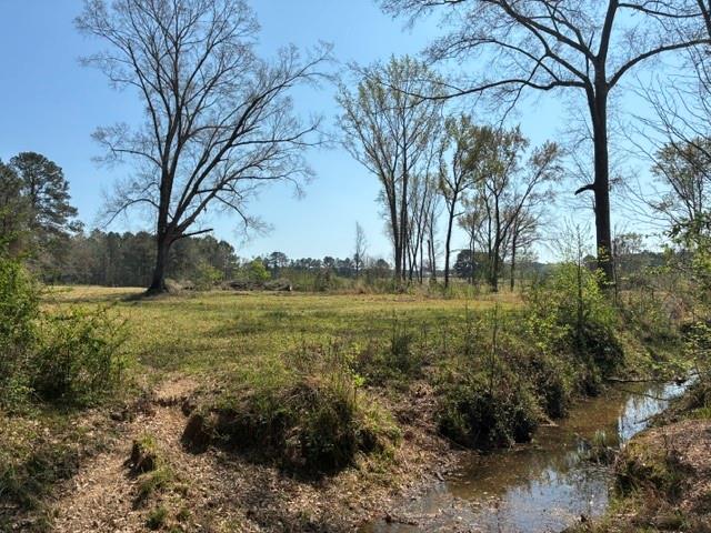 Discover the perfect opportunity with this stunning **12-acre lot** located on **Dorcheat Road**, right past West Cliff Keen Road in Minden, LA. 
This well-maintained pasture land offers a serene setting, ideal for those looking to build their dream home or establish a peaceful getaway.

Property Highlights:
12 acres of lush, open pasture. The entire property is fully fenced, ensuring security for cows, horses, or donkeys. A charming small creek runs along the wood line, adding to the beauty and tranquility of the landscape.
- Utilities: Access to Claiborne Electric and Leton Water makes this property convenient for development.
  
Additional Opportunities:
If you’re looking for more space, an additional 12 acres are available that connect to this lot. Check out listing *W-1 West Cliff Keen, Minden LA* for further details.

Restrictions:
Please note restrictions that will be in the deed: no mobile homes. No subdividing. No subleasing. 1 house per tract. 

Don’t miss out on this rare chance to own a piece of beautiful Minden land!