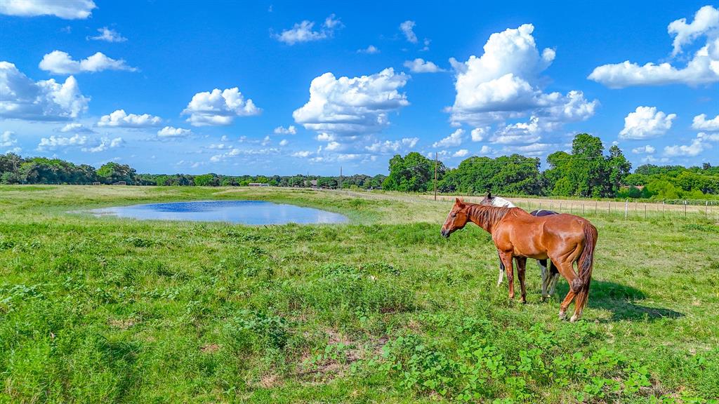 Mecom Acres - Land