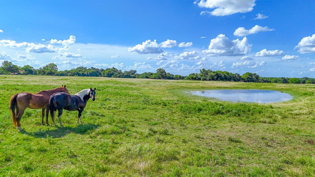 Mecom Acres - Land