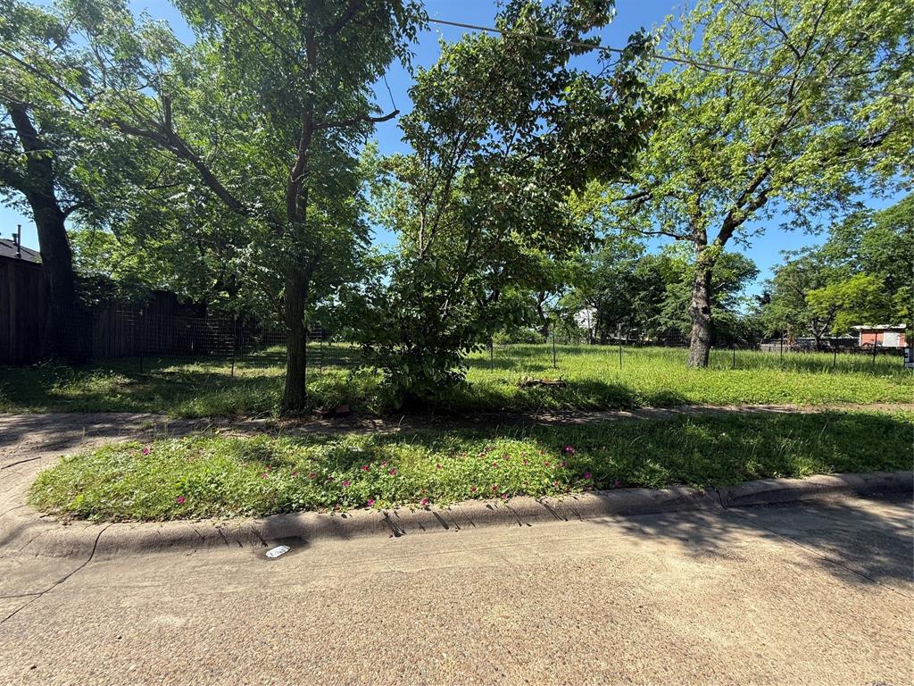 College Park - Land