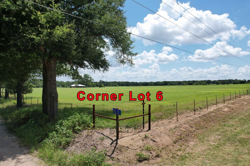 Owner fina'n'cing available. This 1.0 acre lot is level and ready for your manufactured or site-built home. This lot is located inWills Point with Edgewood ISD. Electric is available at the road, water line being installed at the road and buyer will receive credit for water meter at closing. An Aerobic Septic System will be required. Located in a nice area with great neighbors. The possibilities are endless here! Several lots to choose from, from 1 acre lots to 2+ acre lots, these lots are ready for your newhome. But don't wait too long as lots like these are getting harder to find and seldom last long. See Transaction Desk section for light restrictions and plat. Buyer to verify any and all information.