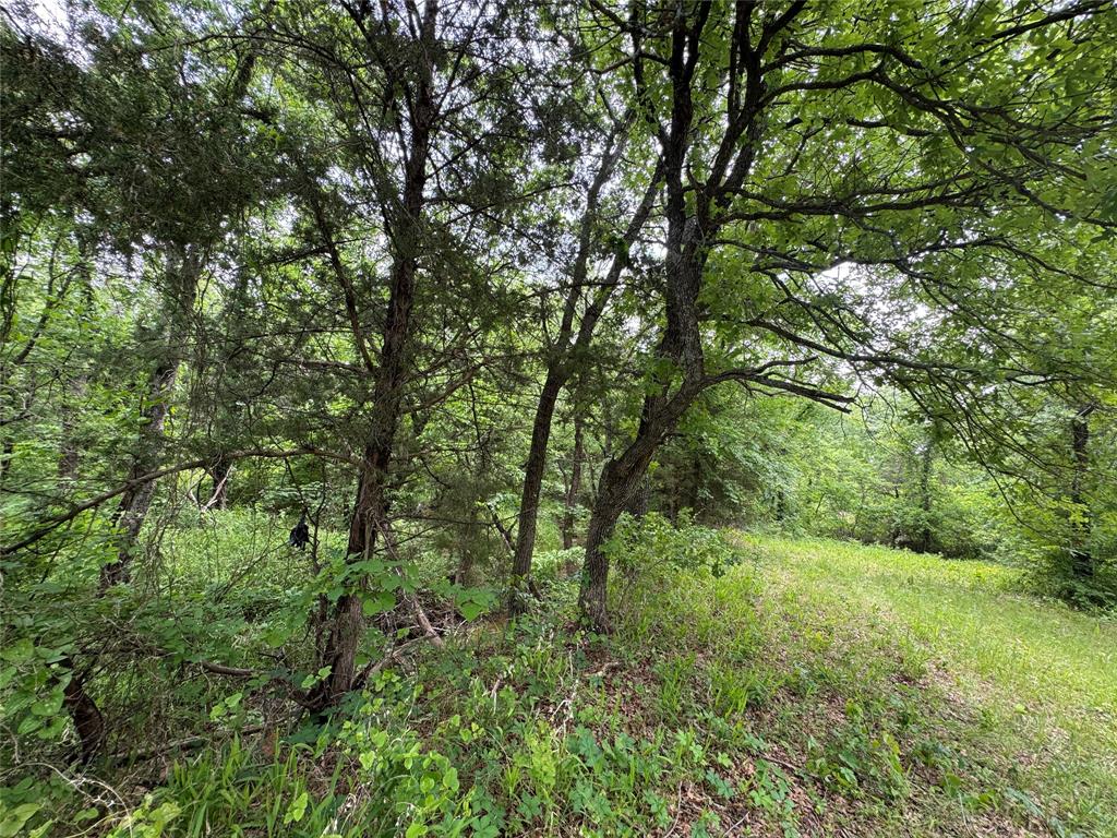 Horseman's Ranch - Land